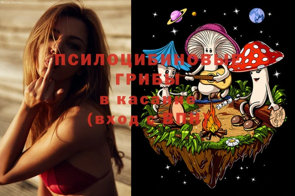 круглые Алзамай