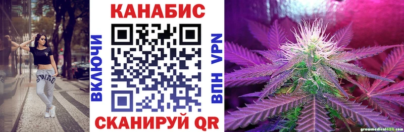 Канабис OG Kush магазин Стародуб